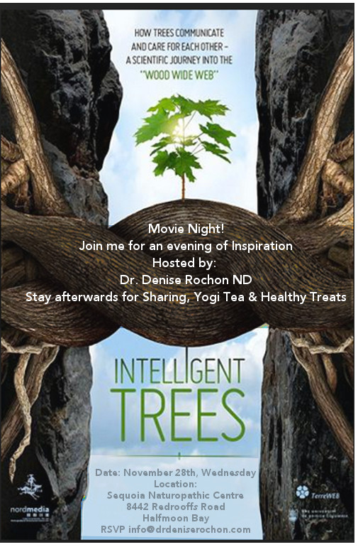 Intelligent Trees movie night poster